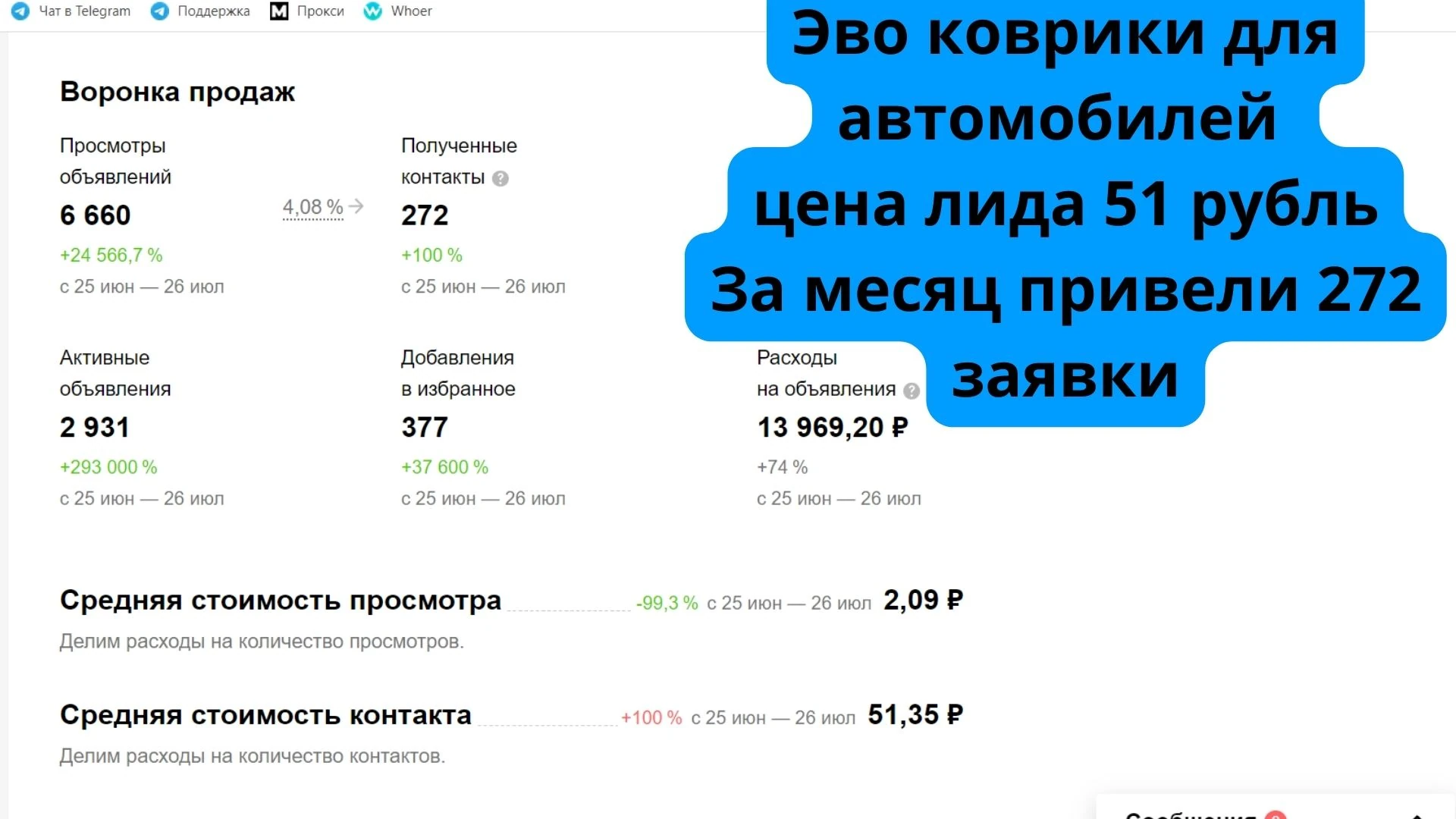 Кейс по продвижению автоковриков на Авито
